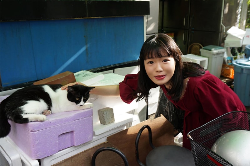 にゃんぞぬデシ